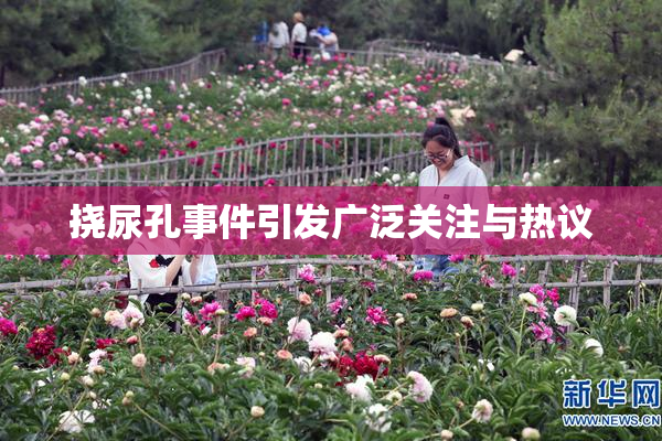 挠尿孔事件引发广泛关注与热议