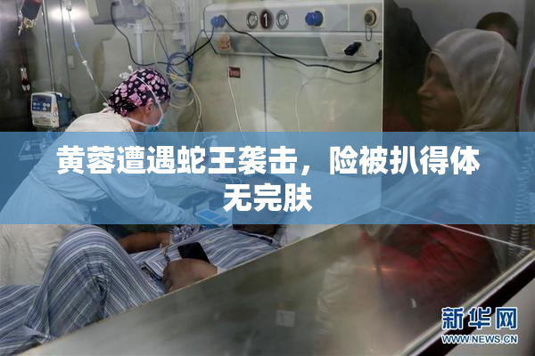 黄蓉遭遇蛇王袭击，险被扒得体无完肤
