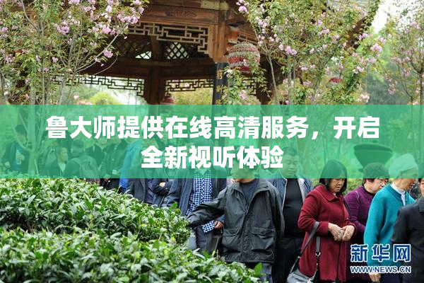 鲁大师提供在线高清服务，开启全新视听体验