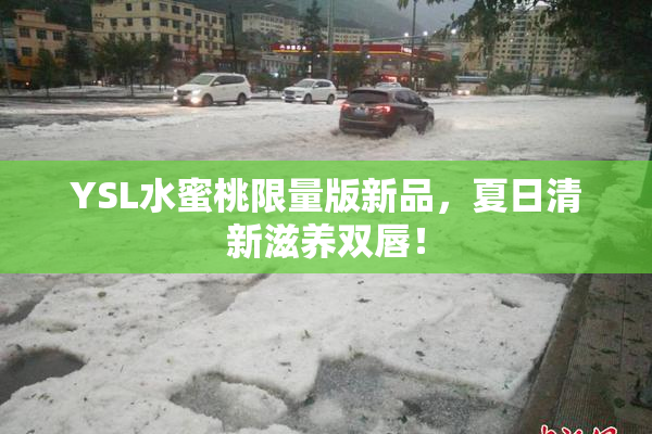YSL水蜜桃限量版新品，夏日清新滋养双唇！