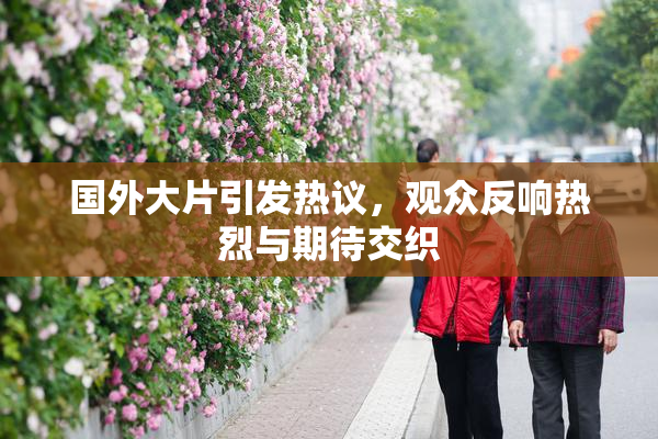 国外大片引发热议，观众反响热烈与期待交织