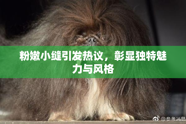 粉嫩小缝引发热议，彰显独特魅力与风格