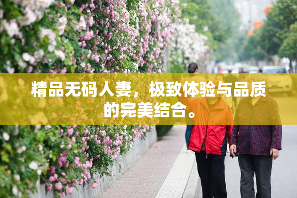 精品无码人妻，极致体验与品质的完美结合。