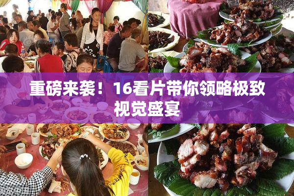 重磅来袭！16看片带你领略极致视觉盛宴