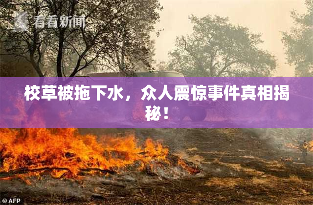 校草被拖下水，众人震惊事件真相揭秘！