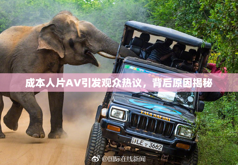 成本人片AV引发观众热议，背后原因揭秘