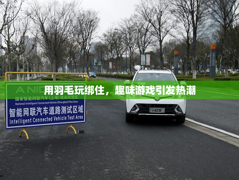 用羽毛玩绑住，趣味游戏引发热潮