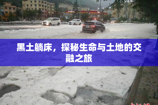 黑土躺床，探秘生命与土地的交融之旅