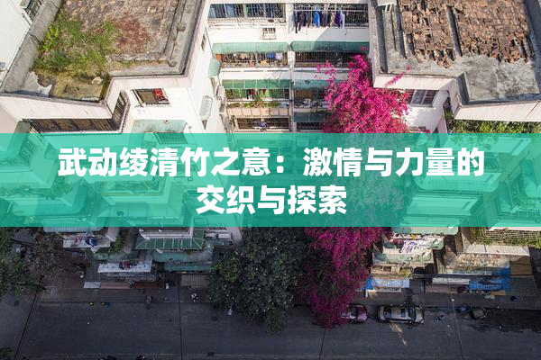 武动绫清竹之意：激情与力量的交织与探索