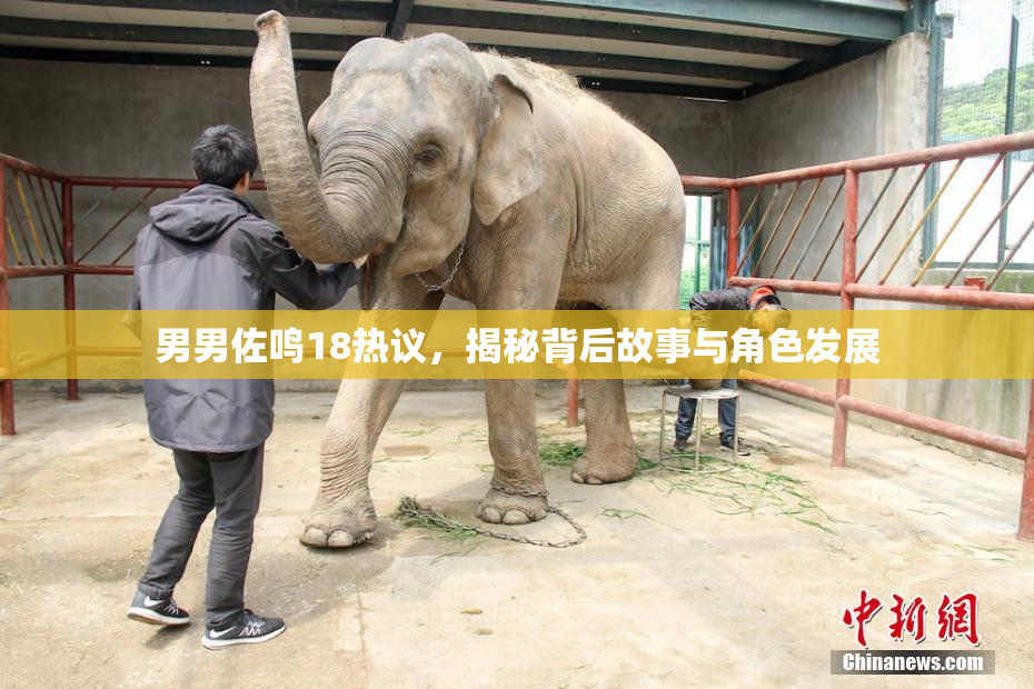 男男佐鸣18热议，揭秘背后故事与角色发展