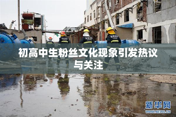 初高中生粉丝文化现象引发热议与关注