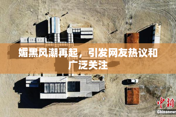 媚黑风潮再起，引发网友热议和广泛关注