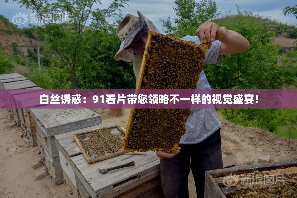 白丝诱惑：91看片带您领略不一样的视觉盛宴！