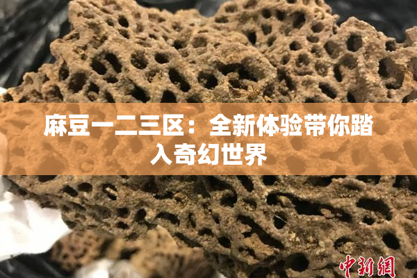 麻豆一二三区：全新体验带你踏入奇幻世界