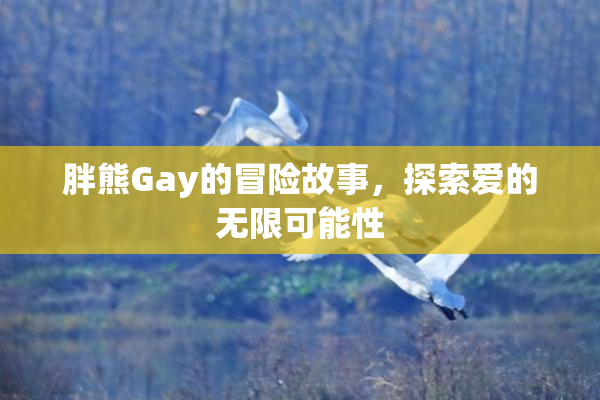 胖熊Gay的冒险故事，探索爱的无限可能性