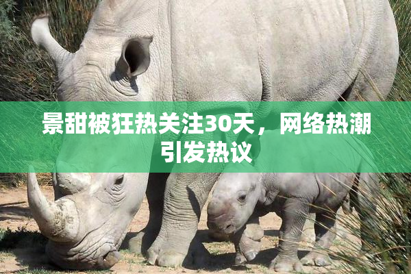 景甜被狂热关注30天，网络热潮引发热议