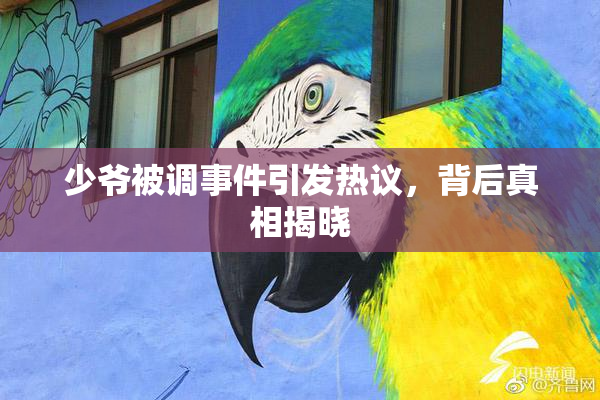 少爷被调事件引发热议，背后真相揭晓