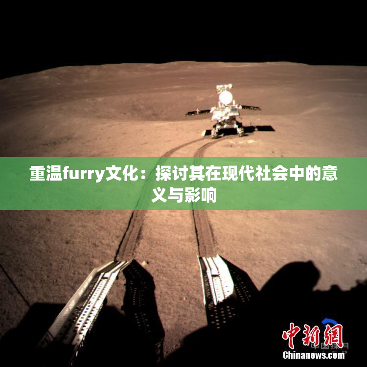 重温furry文化：探讨其在现代社会中的意义与影响