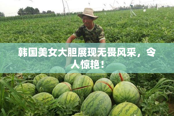 韩国美女大胆展现无畏风采，令人惊艳！