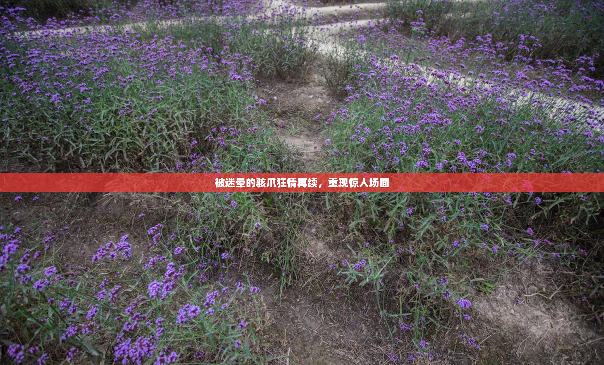 被迷晕的骇爪狂情再续，重现惊人场面