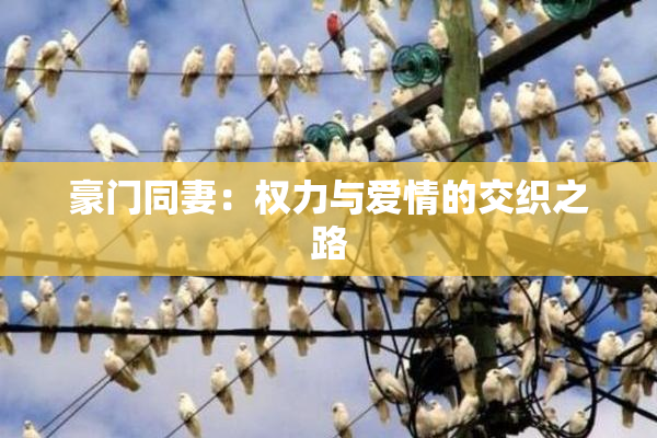 豪门同妻：权力与爱情的交织之路
