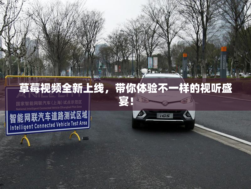 草莓视频全新上线，带你体验不一样的视听盛宴！
