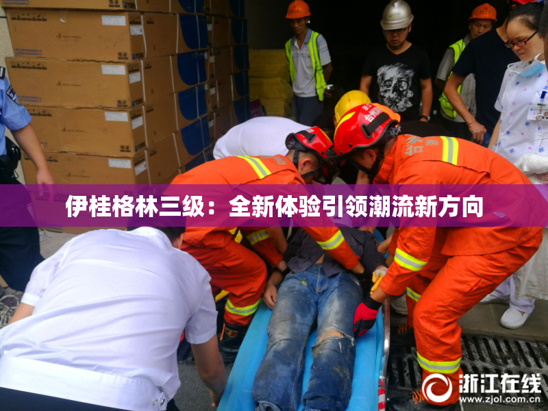 伊桂格林三级：全新体验引领潮流新方向