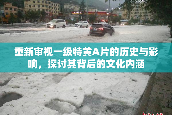 重新审视一级特黄A片的历史与影响，探讨其背后的文化内涵