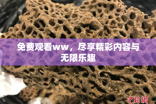 免费观看ww，尽享精彩内容与无限乐趣