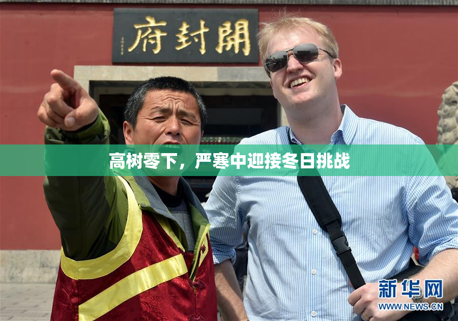 高树零下，严寒中迎接冬日挑战