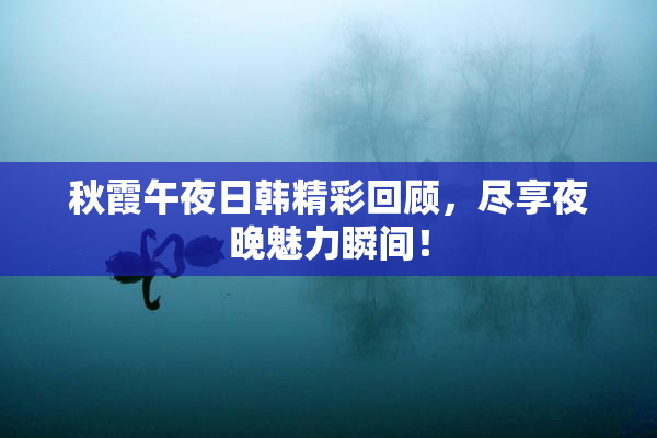 秋霞午夜日韩精彩回顾，尽享夜晚魅力瞬间！
