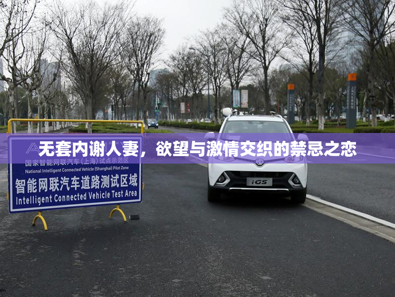 无套内谢人妻，欲望与激情交织的禁忌之恋