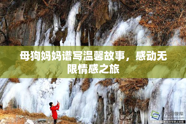 母狗妈妈谱写温馨故事，感动无限情感之旅