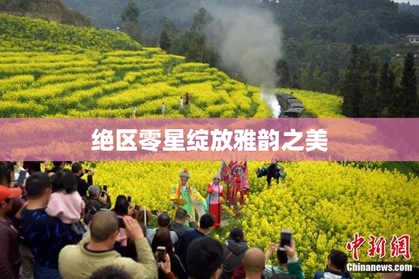 绝区零星绽放雅韵之美