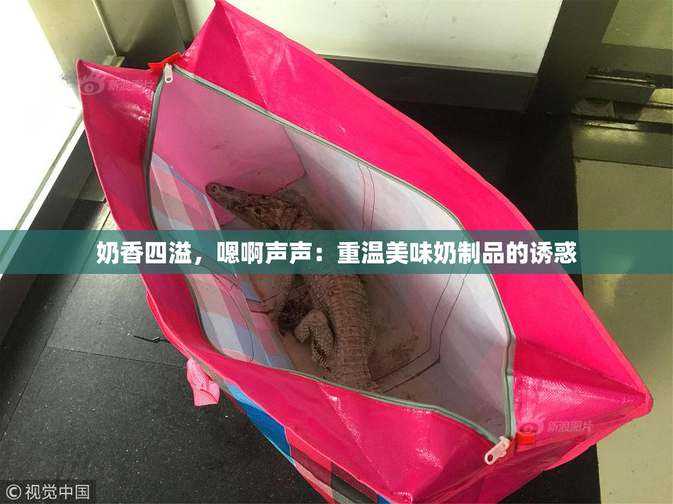 奶香四溢，嗯啊声声：重温美味奶制品的诱惑