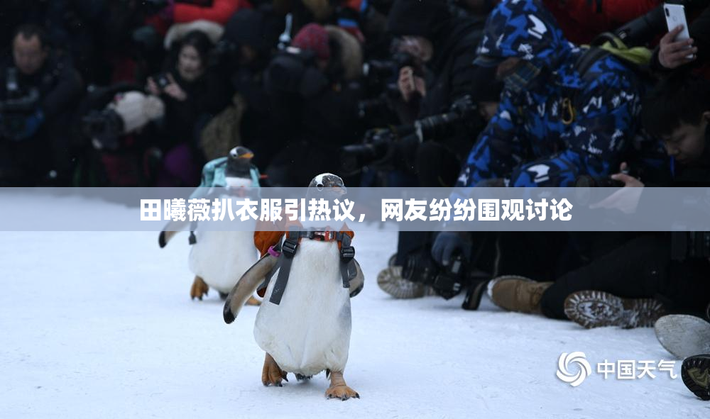 田曦薇扒衣服引热议，网友纷纷围观讨论