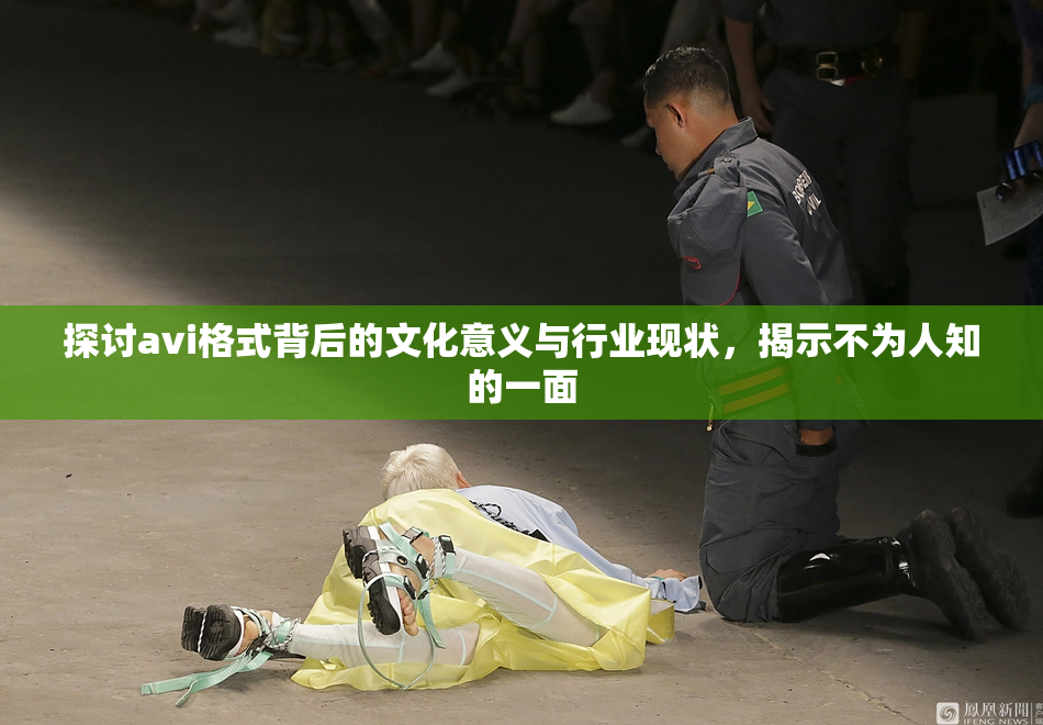 探讨avi格式背后的文化意义与行业现状，揭示不为人知的一面