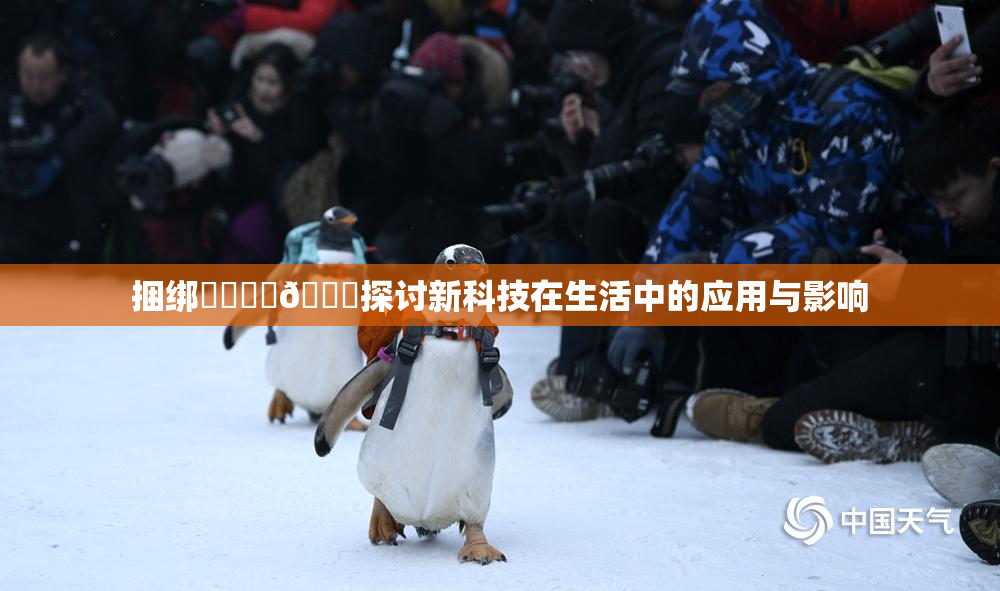 捆绑❌‌❌‌🔞探讨新科技在生活中的应用与影响