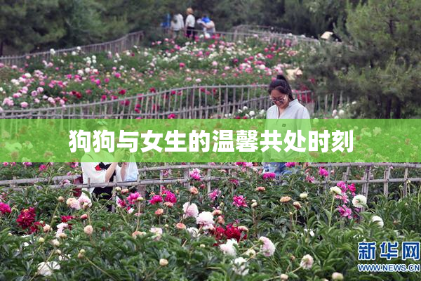 狗狗与女生的温馨共处时刻