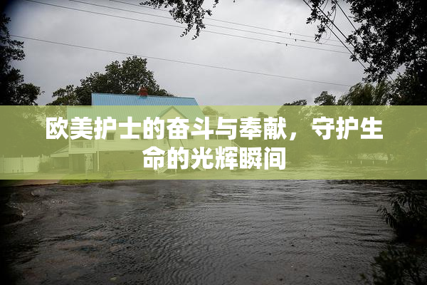 欧美护士的奋斗与奉献，守护生命的光辉瞬间