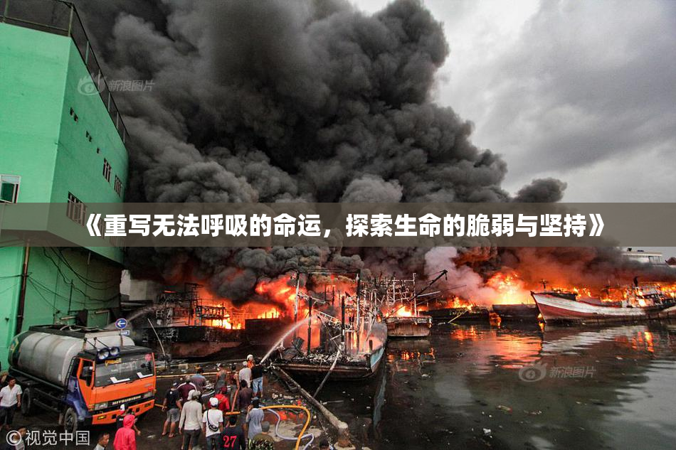 《重写无法呼吸的命运，探索生命的脆弱与坚持》