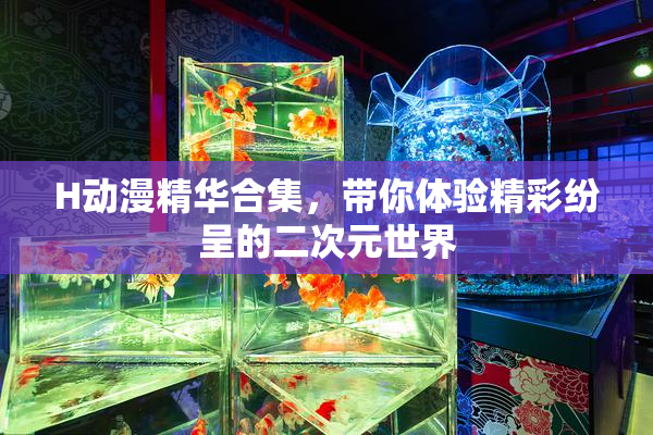 H动漫精华合集，带你体验精彩纷呈的二次元世界