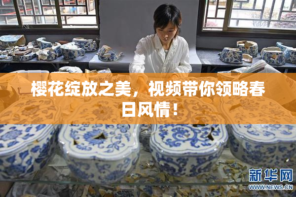 樱花绽放之美，视频带你领略春日风情！