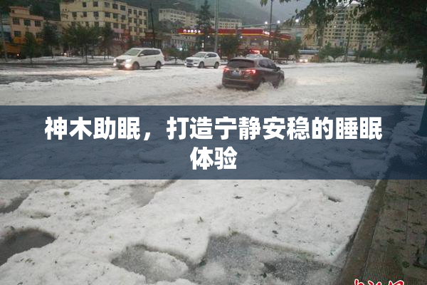 神木助眠，打造宁静安稳的睡眠体验