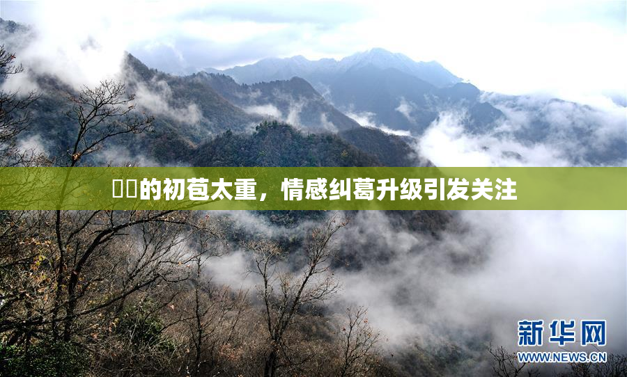 妺妺的初苞太重，情感纠葛升级引发关注
