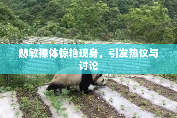 赫敏裸体惊艳现身，引发热议与讨论