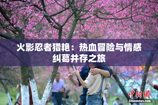火影忍者猎艳：热血冒险与情感纠葛并存之旅