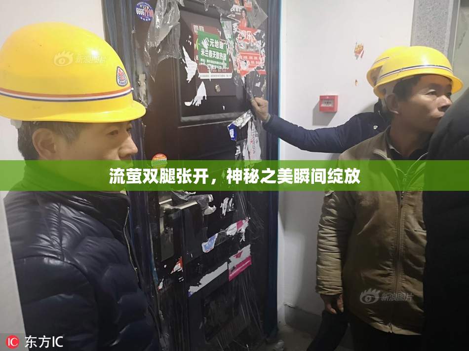 流萤双腿张开，神秘之美瞬间绽放
