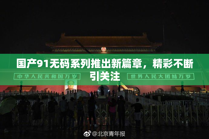 国产91无码系列推出新篇章，精彩不断引关注