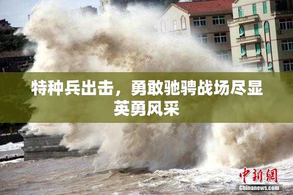 特种兵出击，勇敢驰骋战场尽显英勇风采